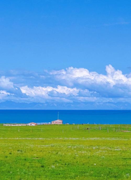 Shopping gala focuses on quality growth AI dividends